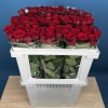 Роза 60 см Красная Ред Наоми