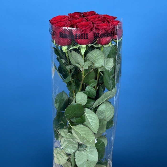 Роза 60 см Красная Ред Наоми