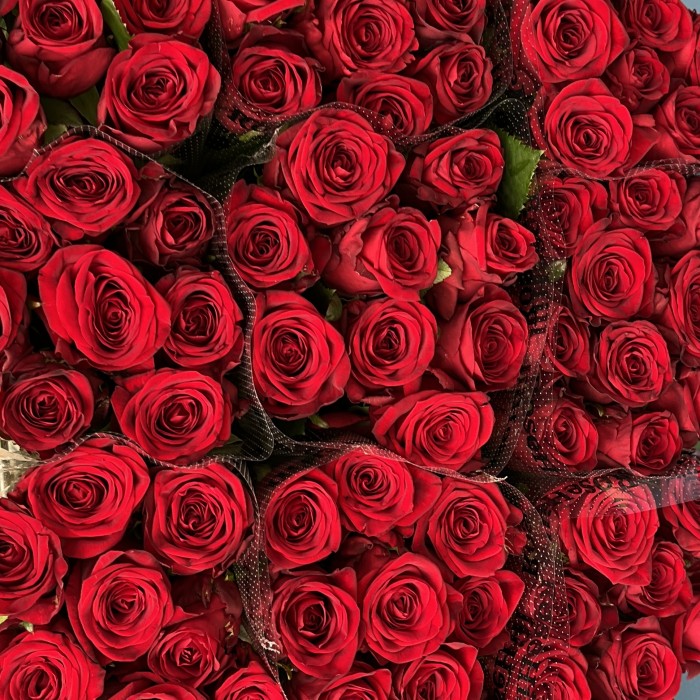 Роза 60 см Красная Ред Наоми