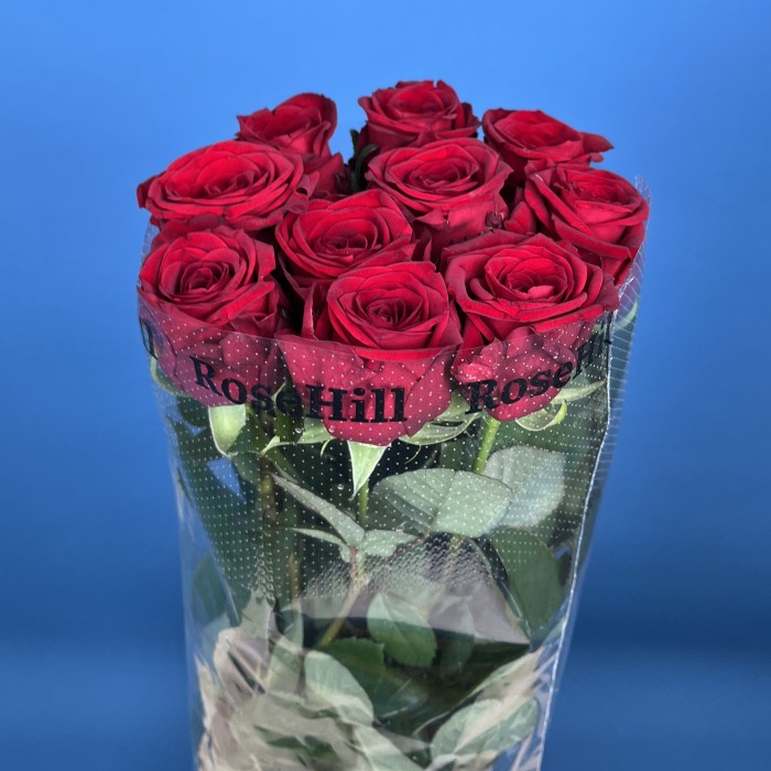 Роза 60 см Красная Ред Наоми