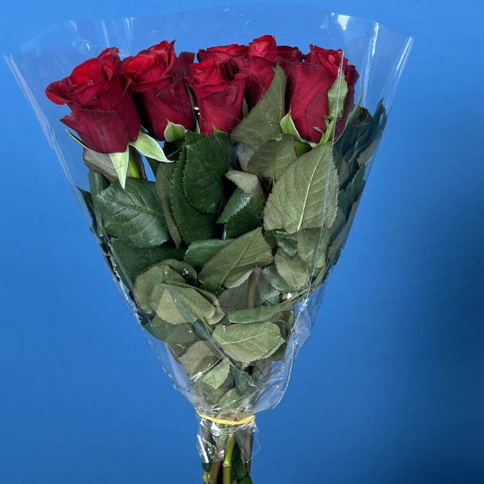 Роза 40 см Красная Мадам Рэд