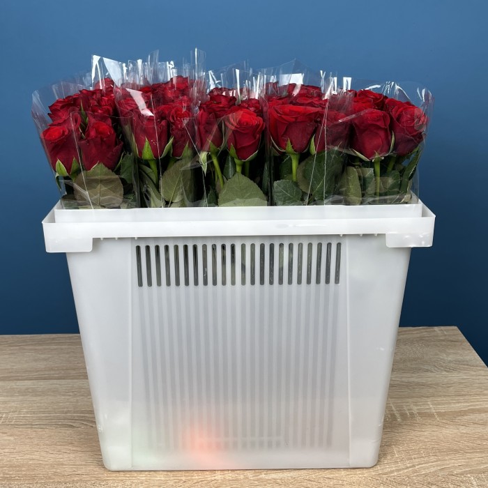 Роза 40 см Красная Мадам Рэд