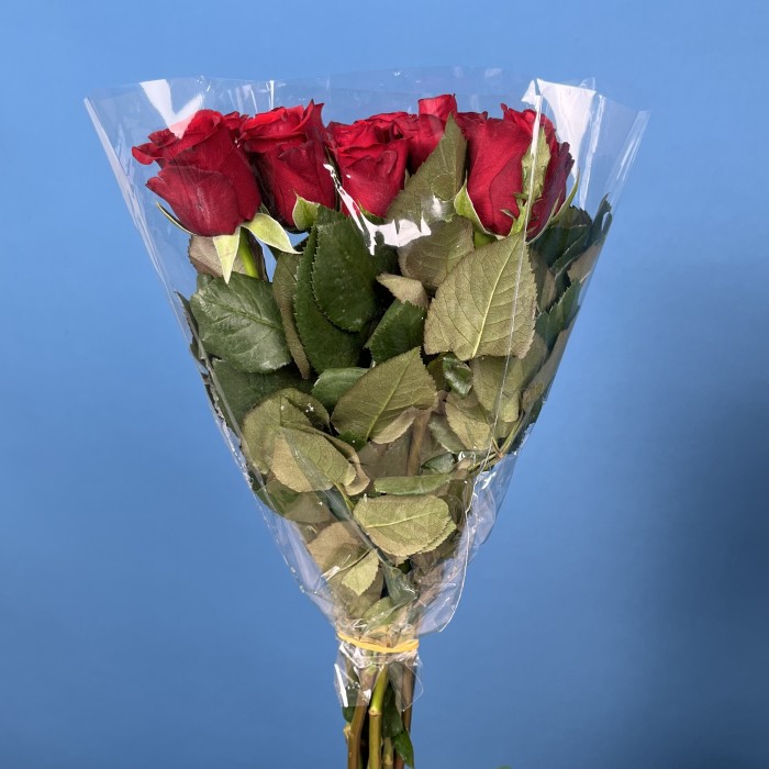 Роза 40 см Красная Мадам Рэд