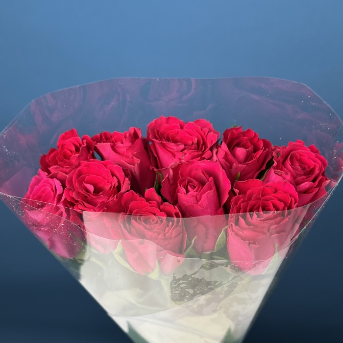 Роза 40 см Малиновая Такаци
