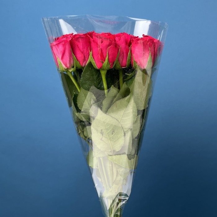 Роза 40 см Малиновая Такаци