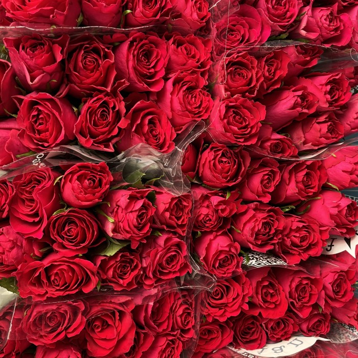 Роза 40 см Малиновая Такаци