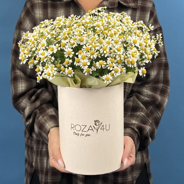 Коробка ромашек