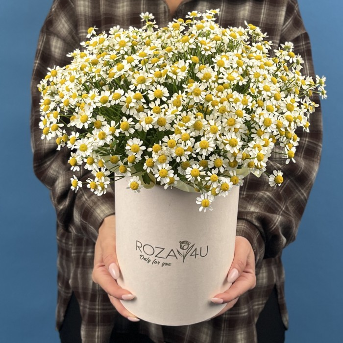 Коробка ромашек