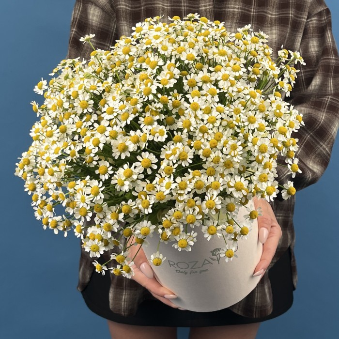 Коробка ромашек