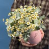 Маленькая коробка ромашек