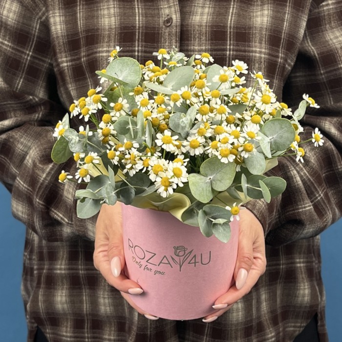 Маленькая коробка ромашек
