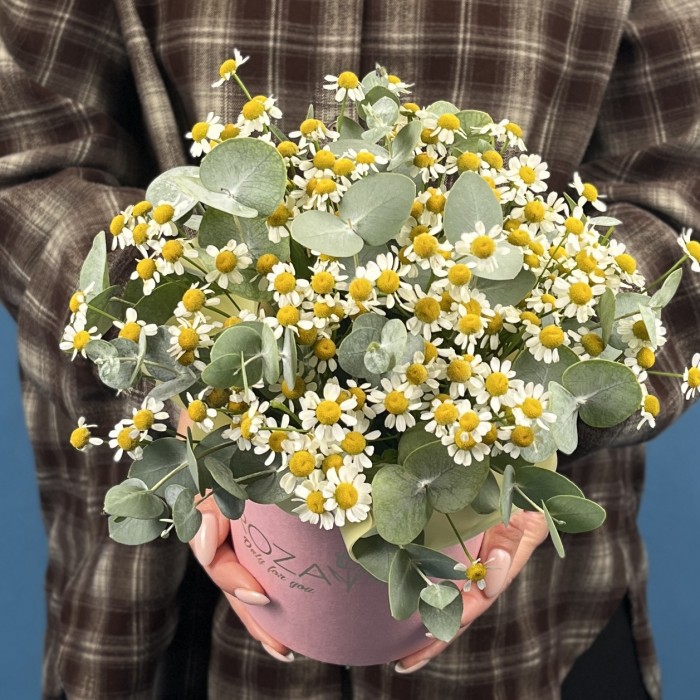 Маленькая коробка ромашек