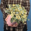 Маленькая коробка ромашек