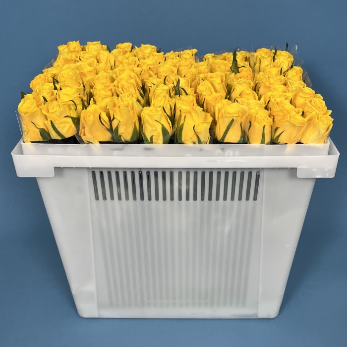 Роза 40 см Жёлтая