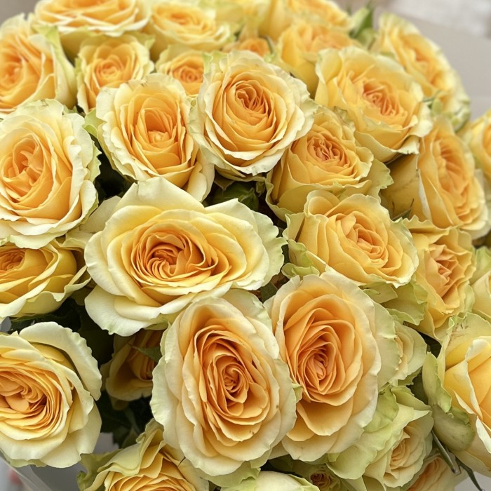 11 кустовых желтых роз Бандолера