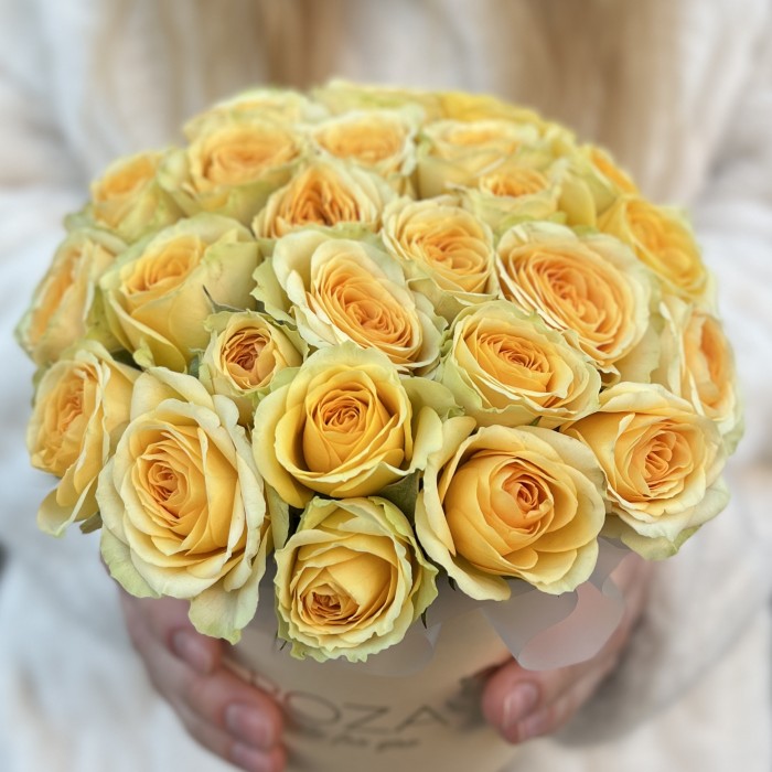 5 желтых пионовидных роз Бандолера в коробке