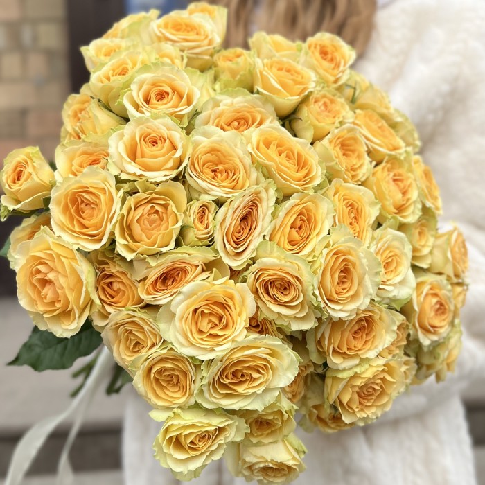 Кустовая пионовидная роза Бандолера