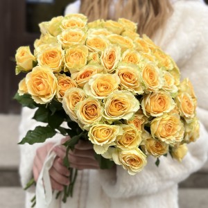 Кустовая пионовидная роза Бандолера