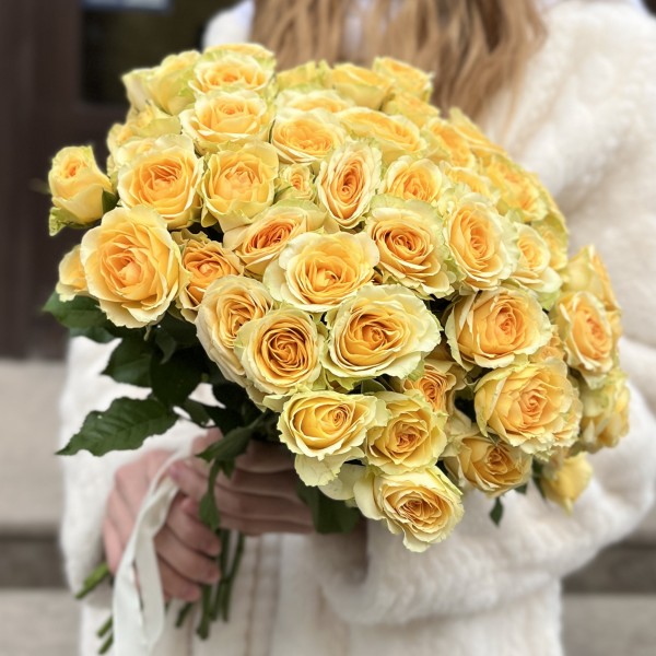 Кустовая пионовидная роза Бандолера