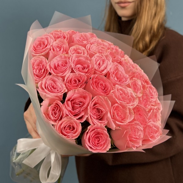 41 пионовидная роза Софи Лорен