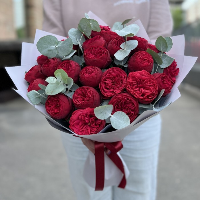 25 красных пионовидных роз Ред Пиано с эвкалиптом