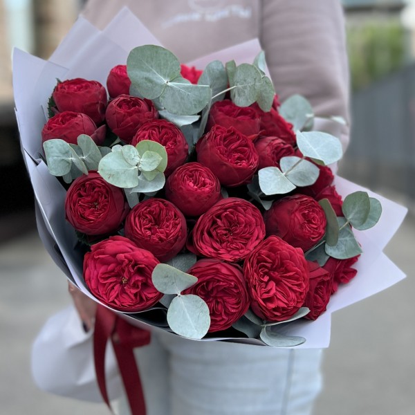 25 красных пионовидных роз Ред Пиано с эвкалиптом