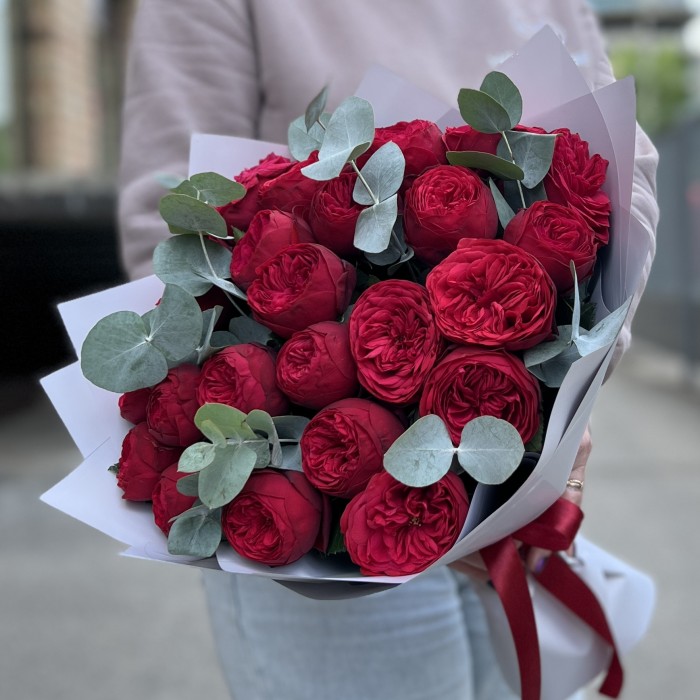 25 красных пионовидных роз Ред Пиано с эвкалиптом