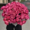 25 кустовых пионовидных роз Вишневая Джульетта