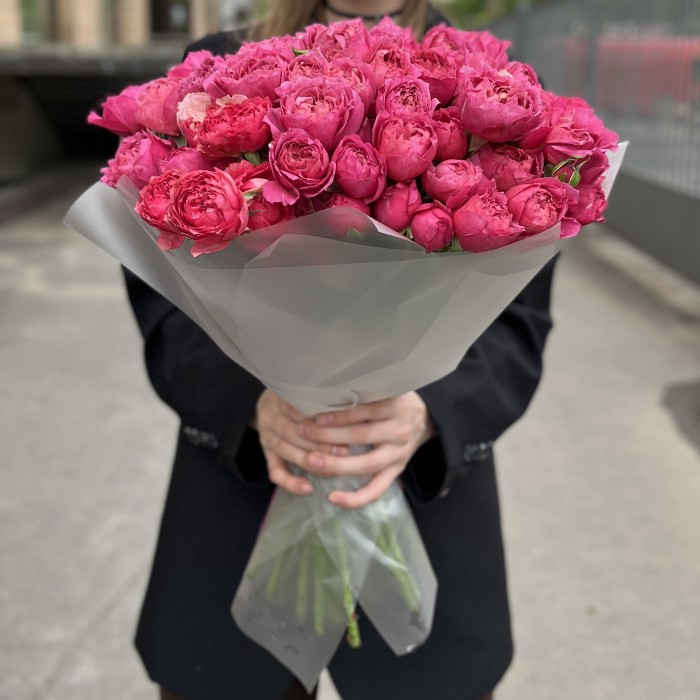 25 кустовых пионовидных роз Вишневая Джульетта