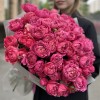 25 кустовых пионовидных роз Вишневая Джульетта