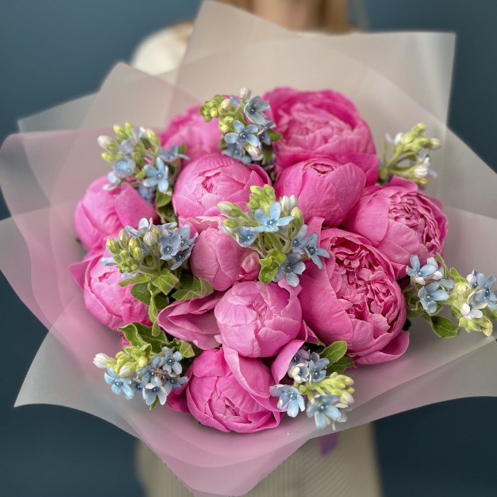 Букет из 11 пионов Флеминг с Оксипеталум