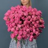 25 кустовых пионовидных роз Мисти Баблс 60 см