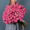25 кустовых пионовидных роз Мисти Баблс 60 см