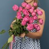 5 кустовых малиновых роз Мисти Баблс 60 см