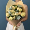 5 кустовых персиково-зеленых роз Саммер-роз 40 см