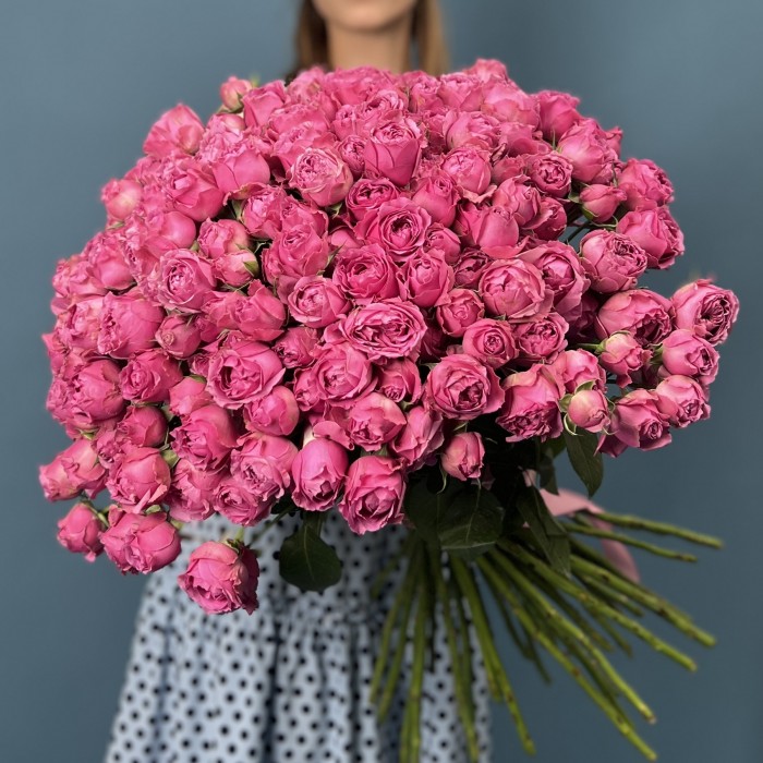 51 кустовая пионовидная Роза Мисти Баблс 60 см