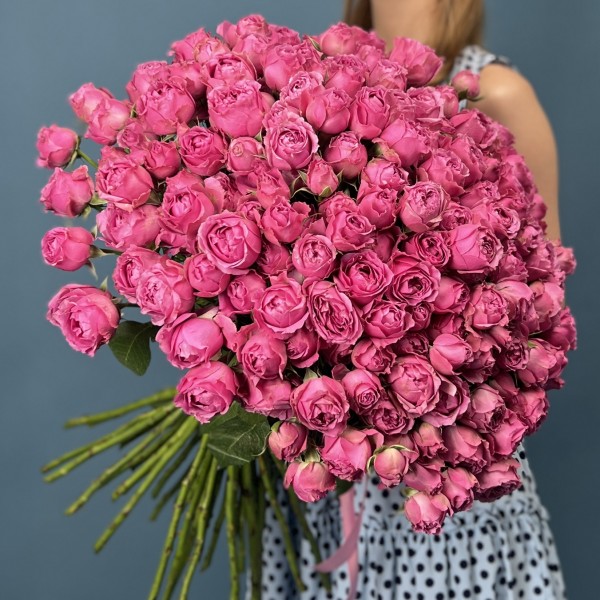 51 кустовая пионовидная Роза Мисти Баблс 60 см