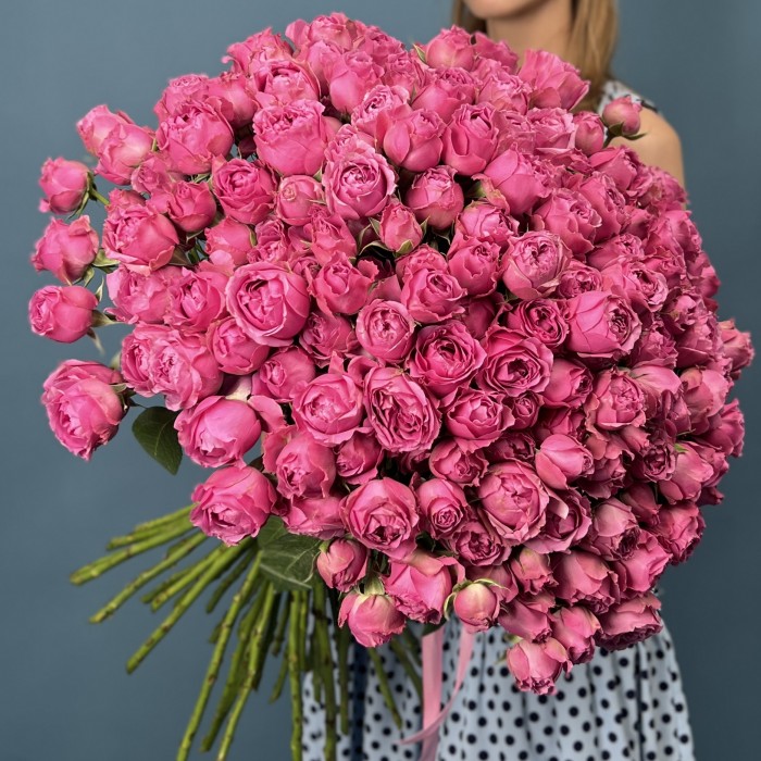 51 кустовая пионовидная Роза Мисти Баблс 60 см