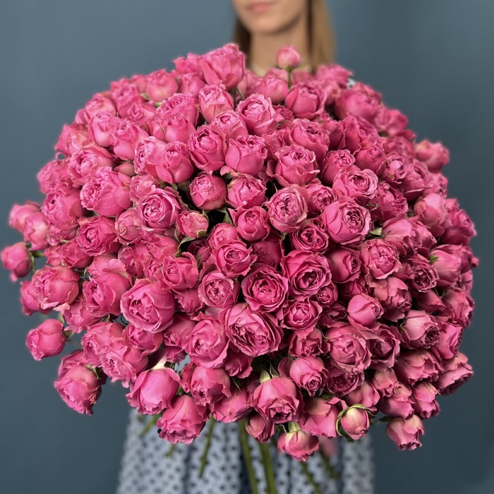 51 кустовая пионовидная Роза Мисти Баблс 60 см