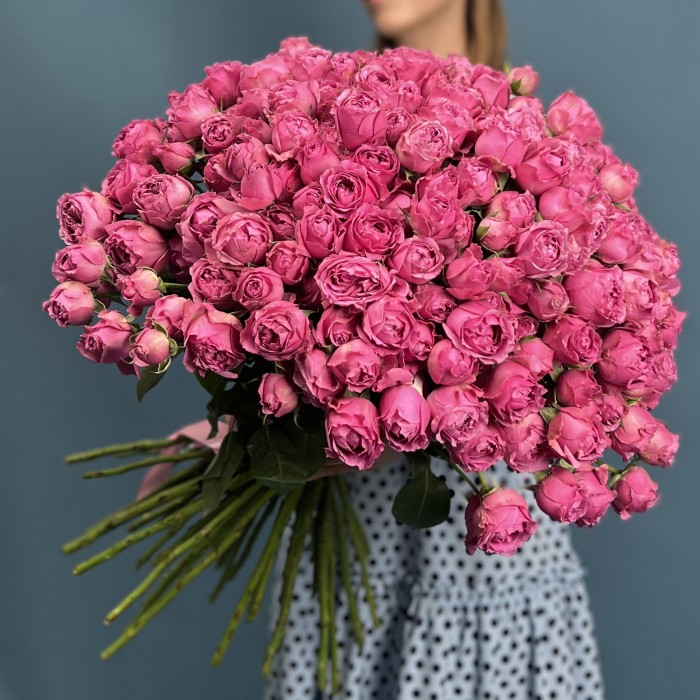 51 кустовая пионовидная Роза Мисти Баблс 60 см