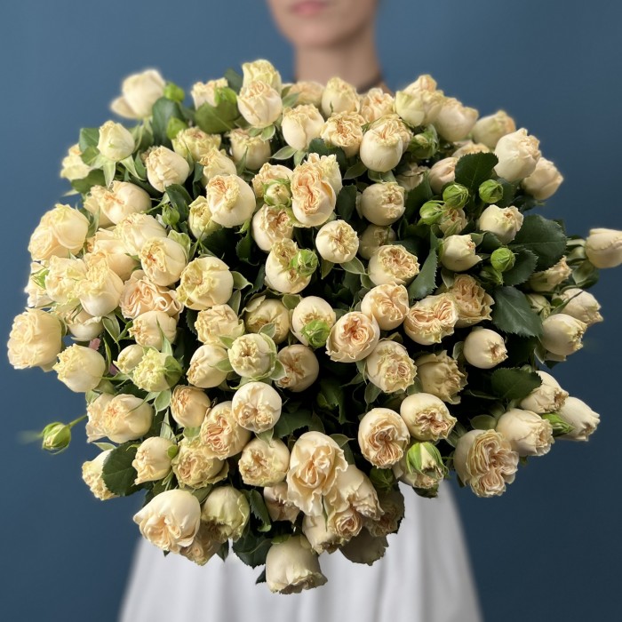 Кустовая пионовидная роза Саммер