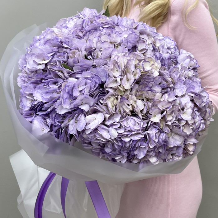 11 лавандовых гортензий