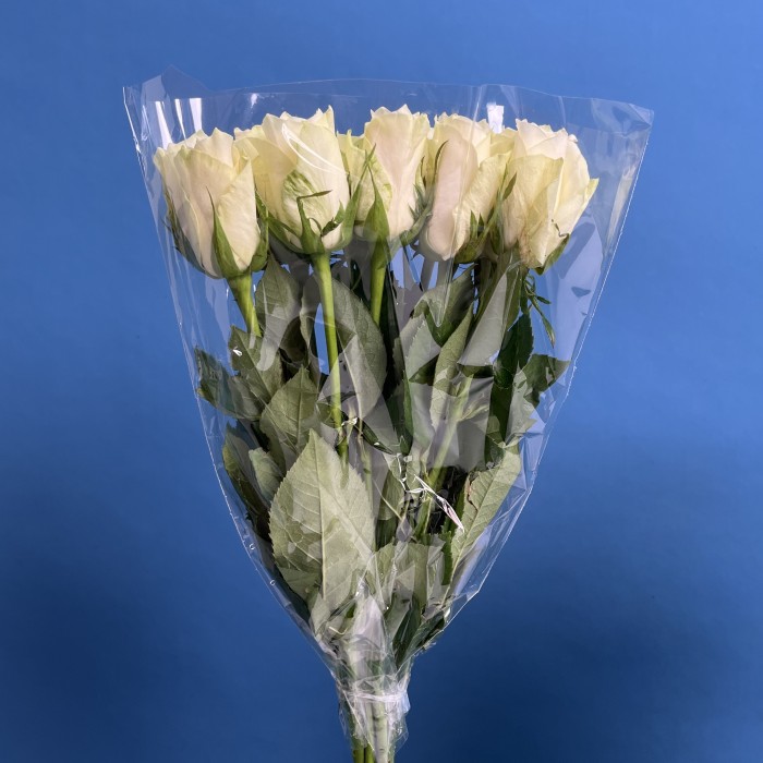 Роза 40 см Белая Атена