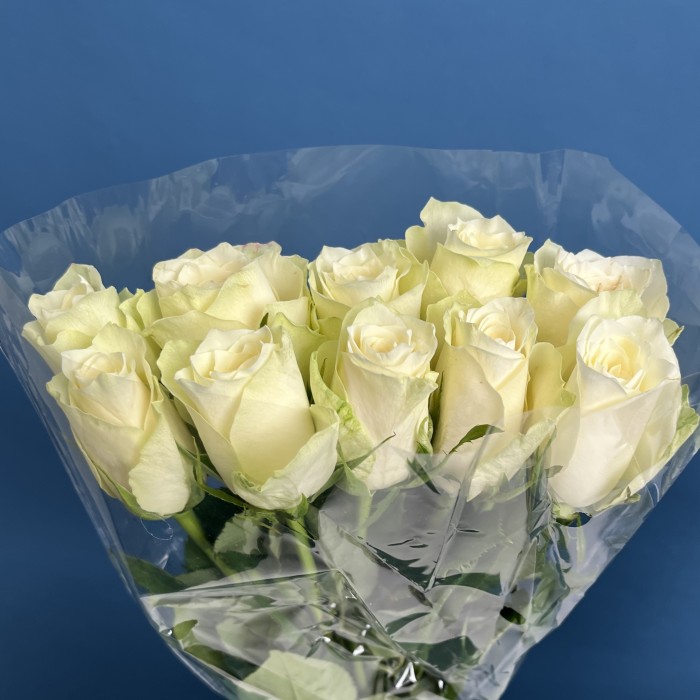 Роза 40 см Белая Атена