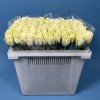 Роза 40 см Белая Атена