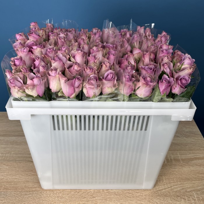 Роза 40 см Сиреневая Найтингейл