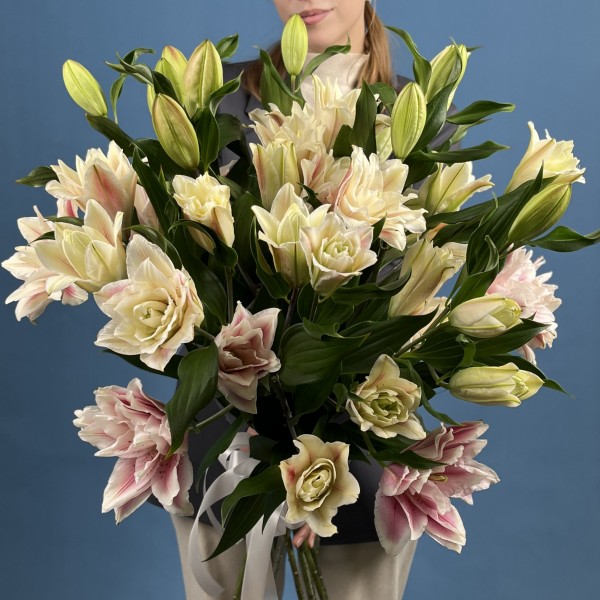 Лилия пионовидная розовая