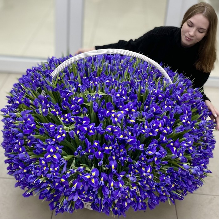 1001 синий ирис в корзине