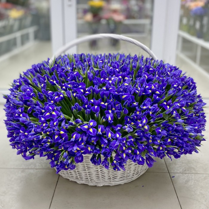 1001 синий ирис в корзине