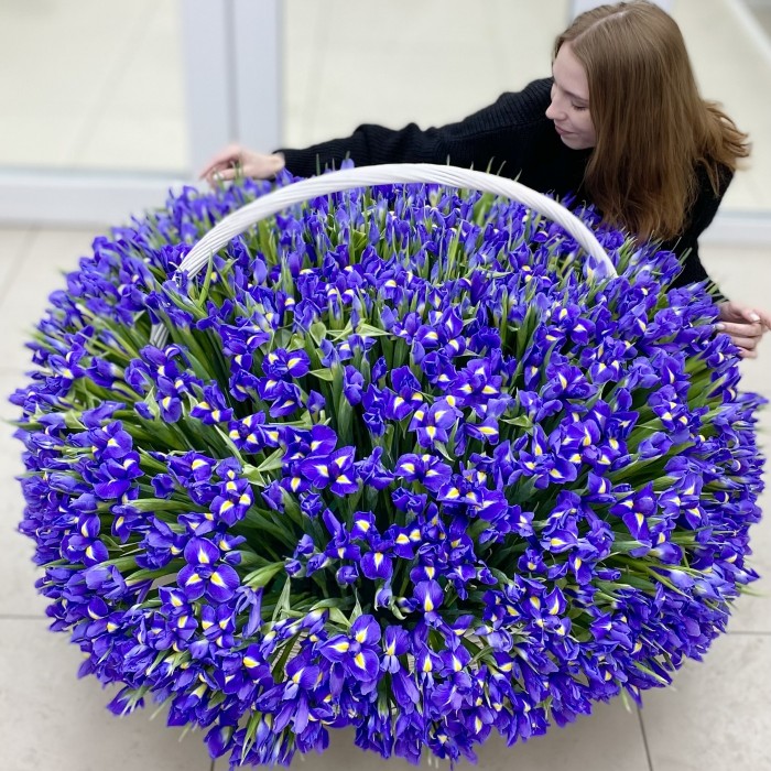 1001 синий ирис в корзине